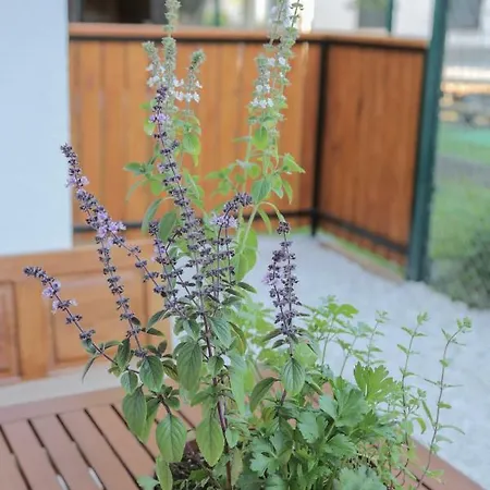 Pikon Apartman Bohinji-tó