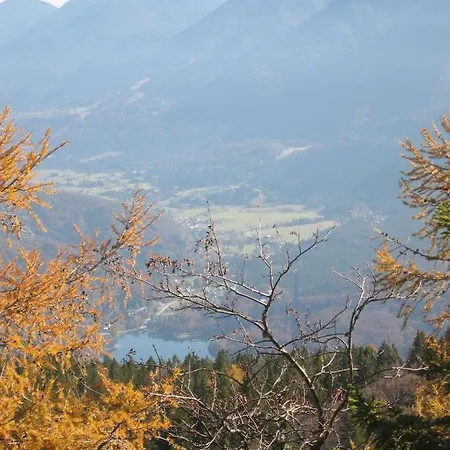 Pikon * Bohinj