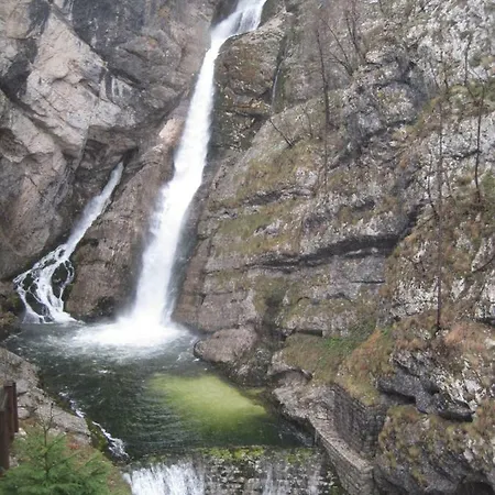 Διαμέρισμα Pikon Bohinj
