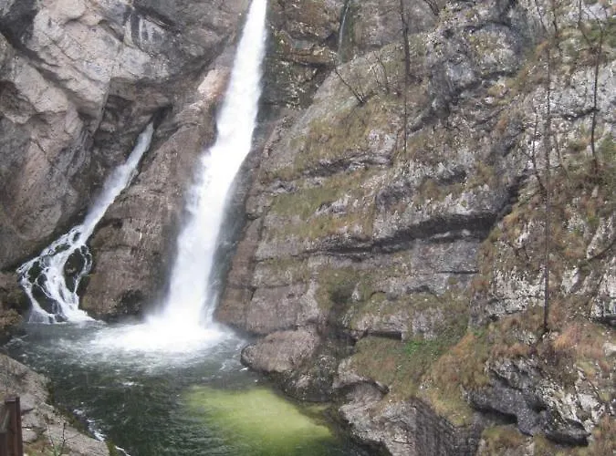 公寓 Pikon 博希尼